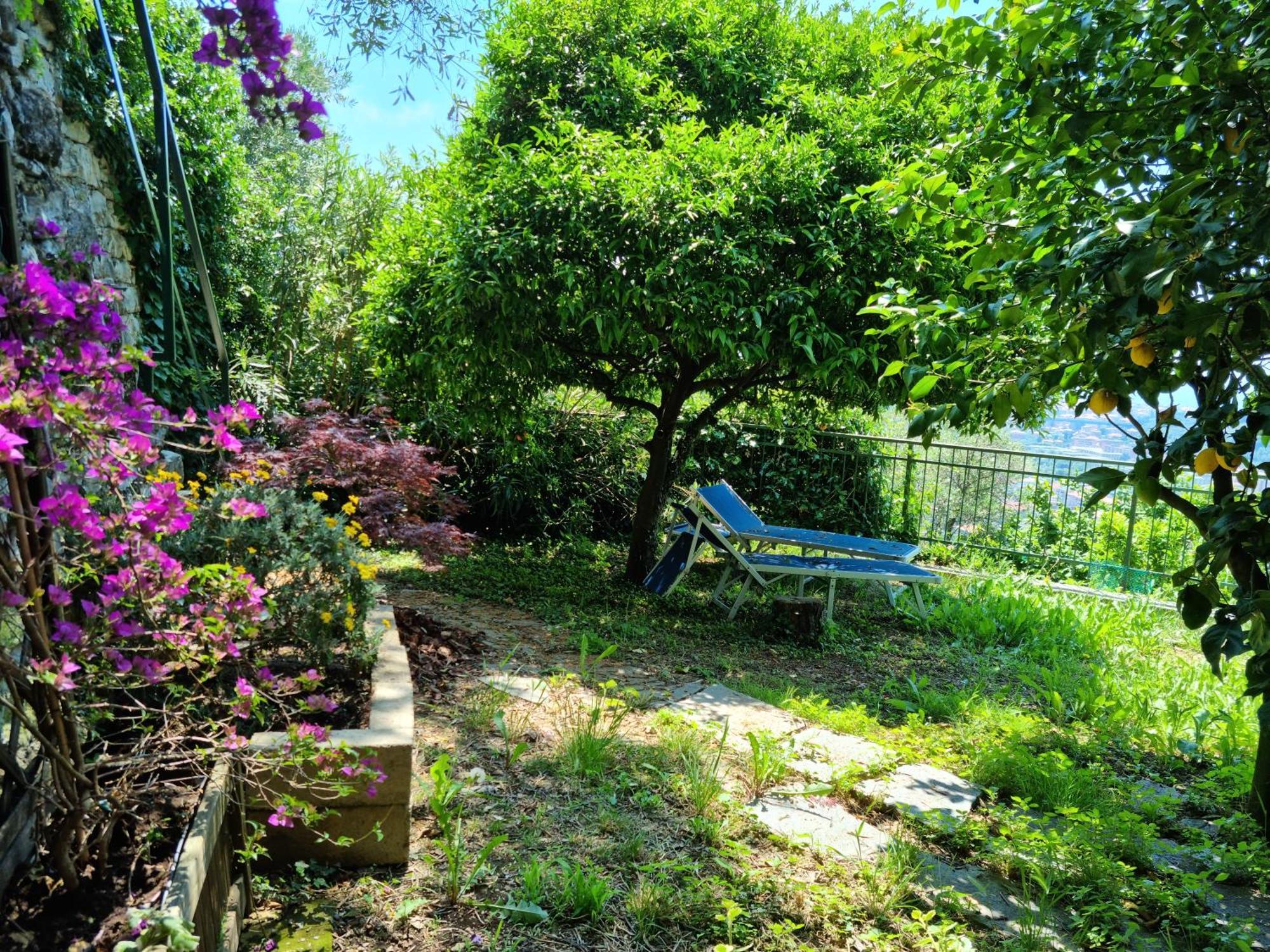 Bed and Breakfast BeB La Terrazza Sui Fieschi Cogorno Exterior foto