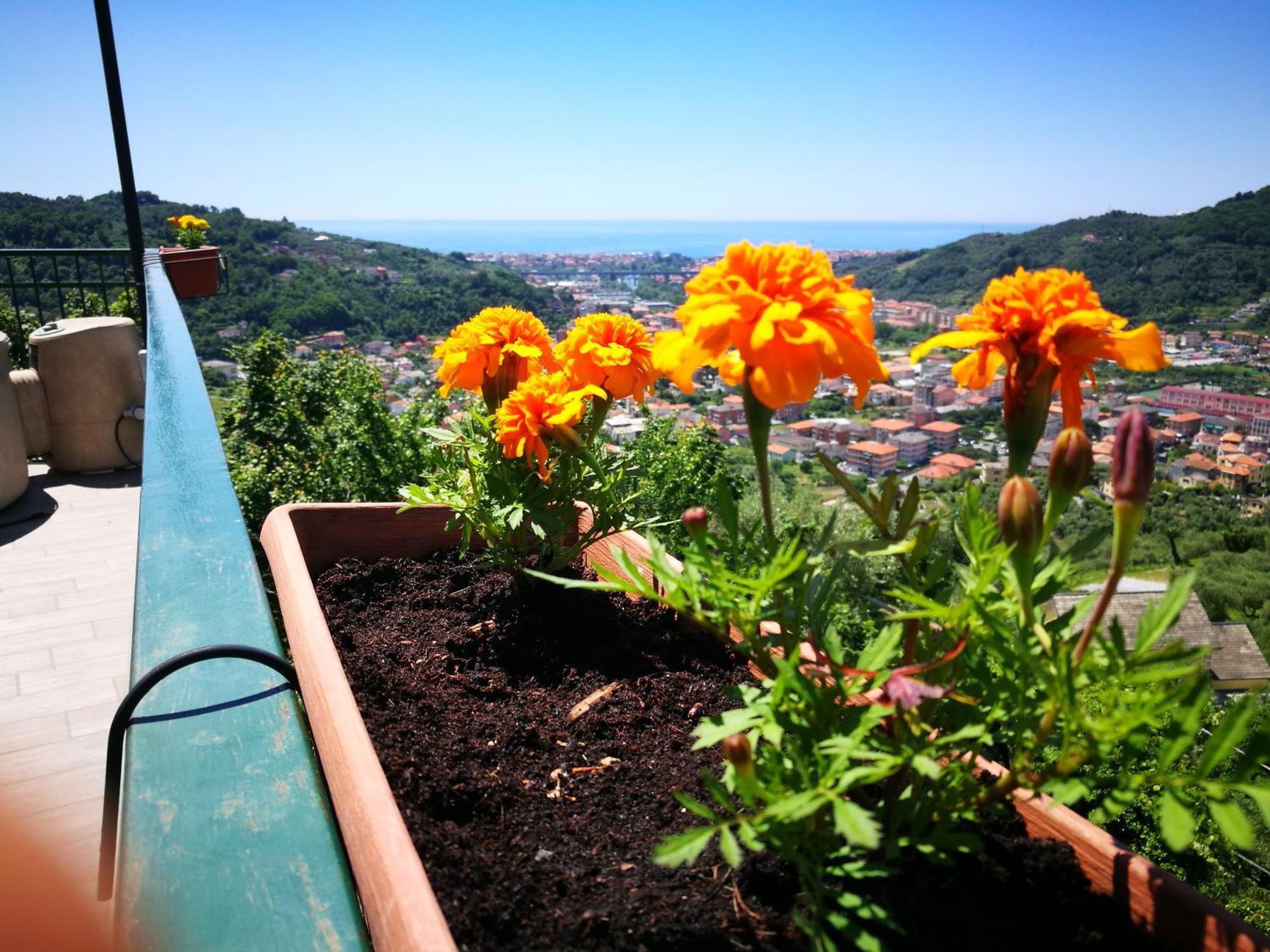 Bed and Breakfast BeB La Terrazza Sui Fieschi Cogorno Exterior foto