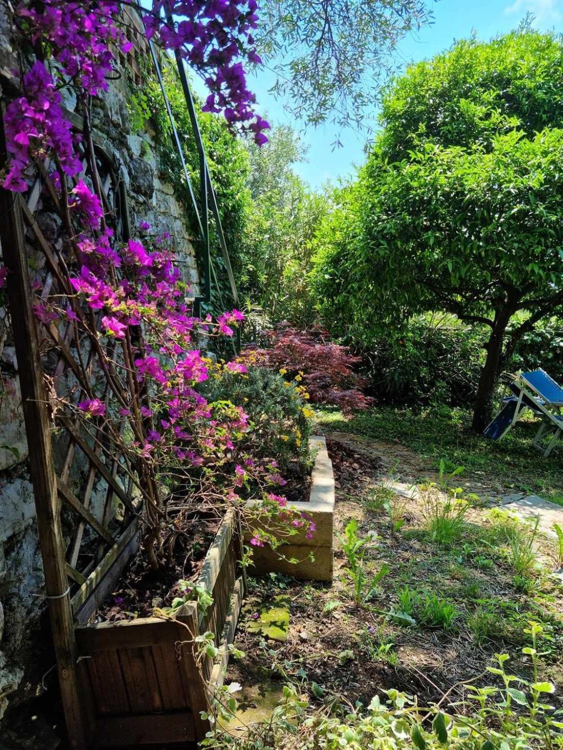 Bed and Breakfast BeB La Terrazza Sui Fieschi Cogorno Zimmer foto